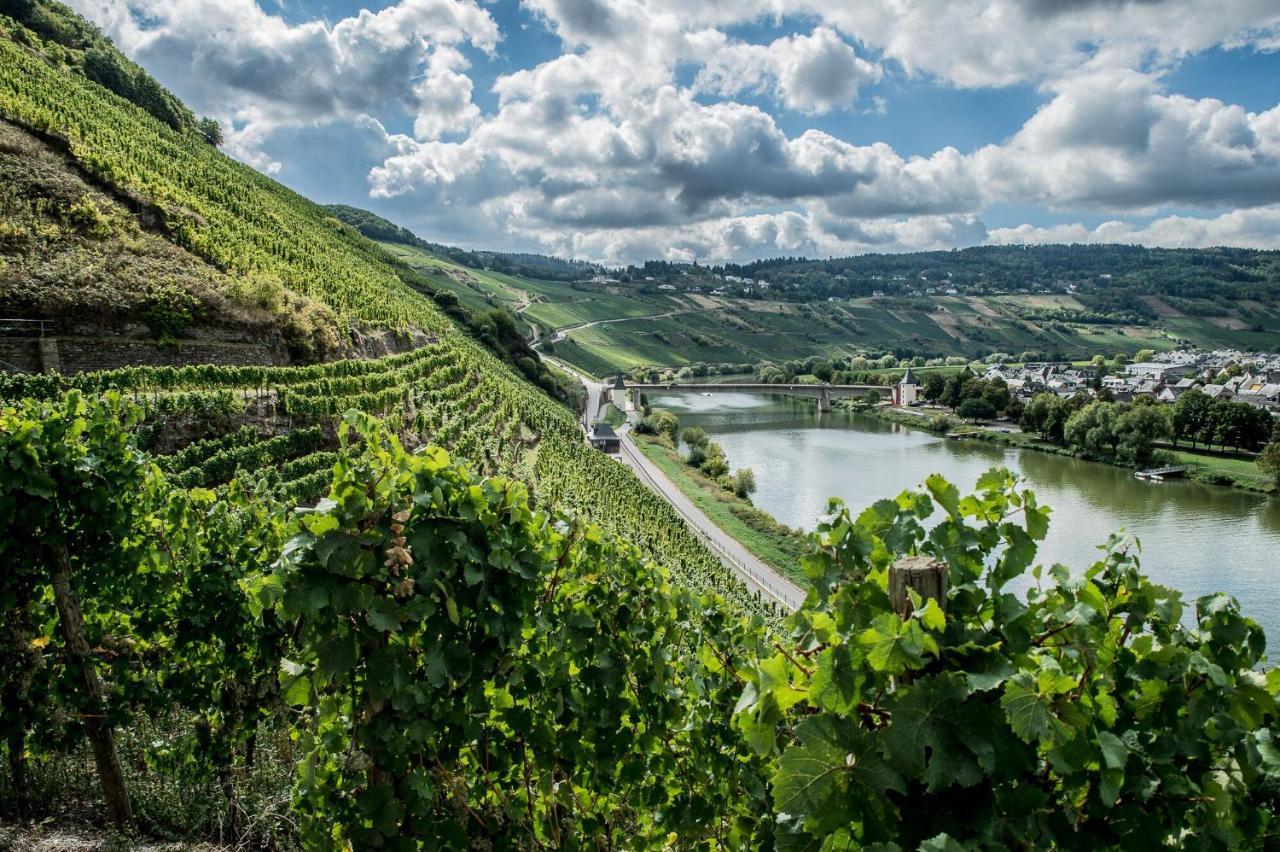 Отель Gastehaus-Weingut Loersch Лайвен Экстерьер фото